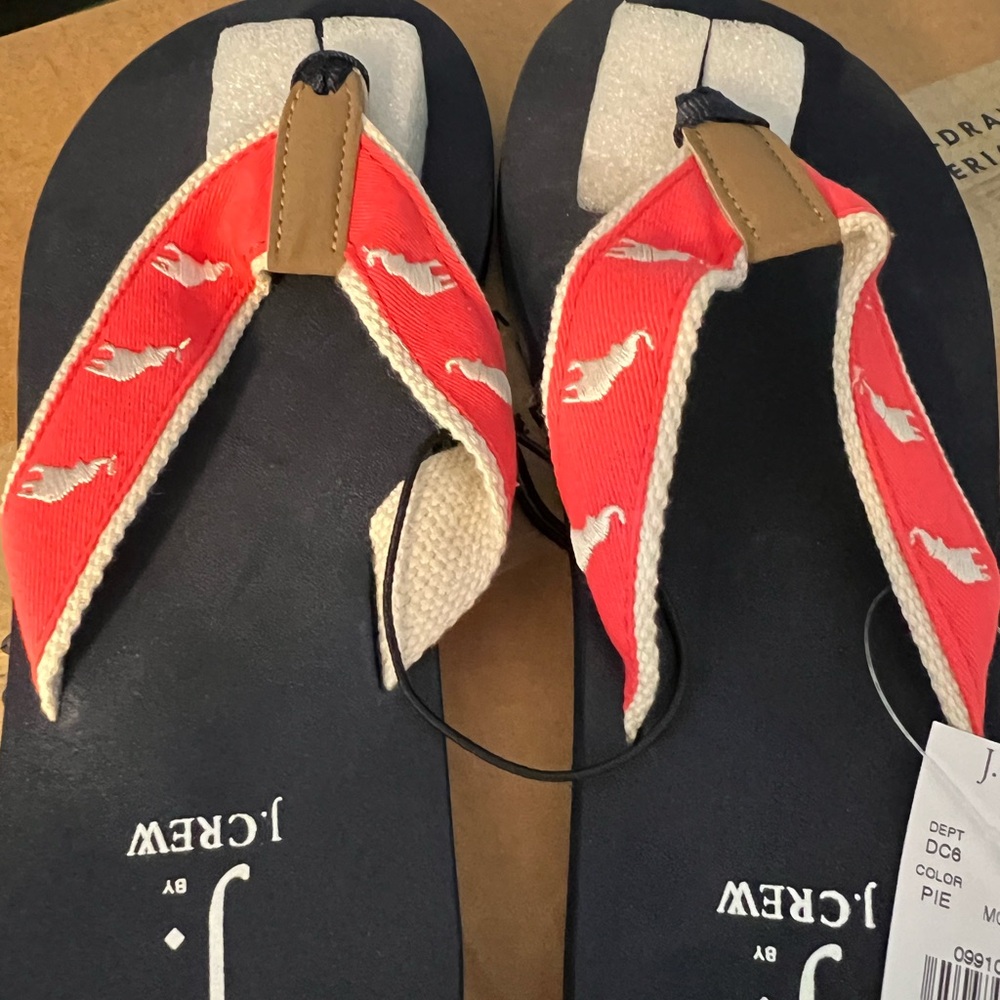 NWT J Crew Women’s embroidered Flip flops
